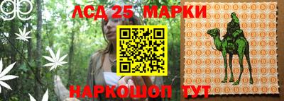 эйфоретик Коммунар