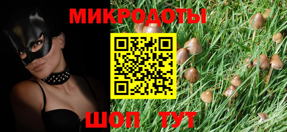 Галлюциногенные грибы мухоморы  Вход с VPN  Киселёвск 