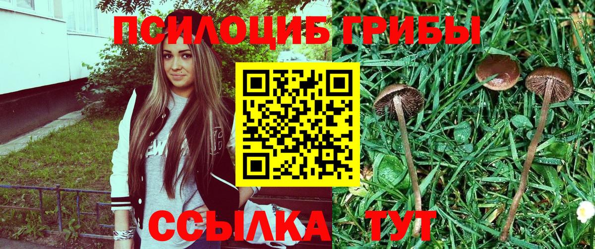 Галлюциногенные грибы мухоморы Киселёвск